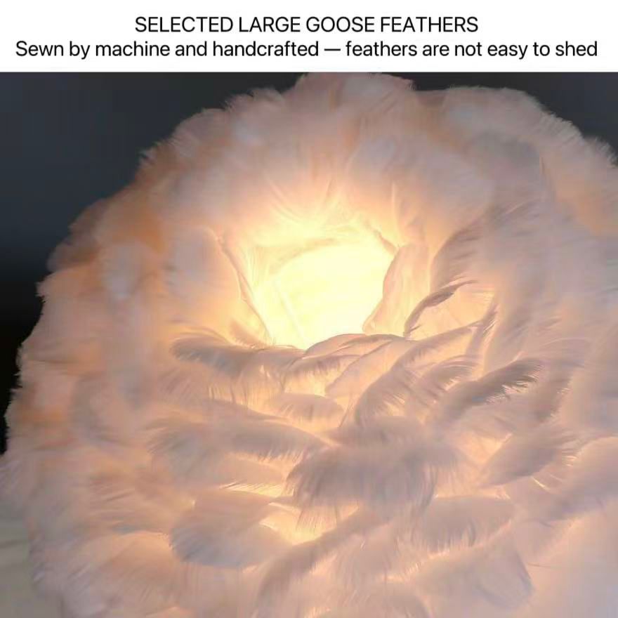 Real Feather-Floor lamp with Crystal Pendants - Image 3